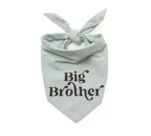 Bandana THE PAWS Big Brother