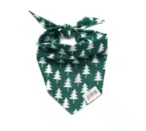 Bandana THE PAWS Rainier